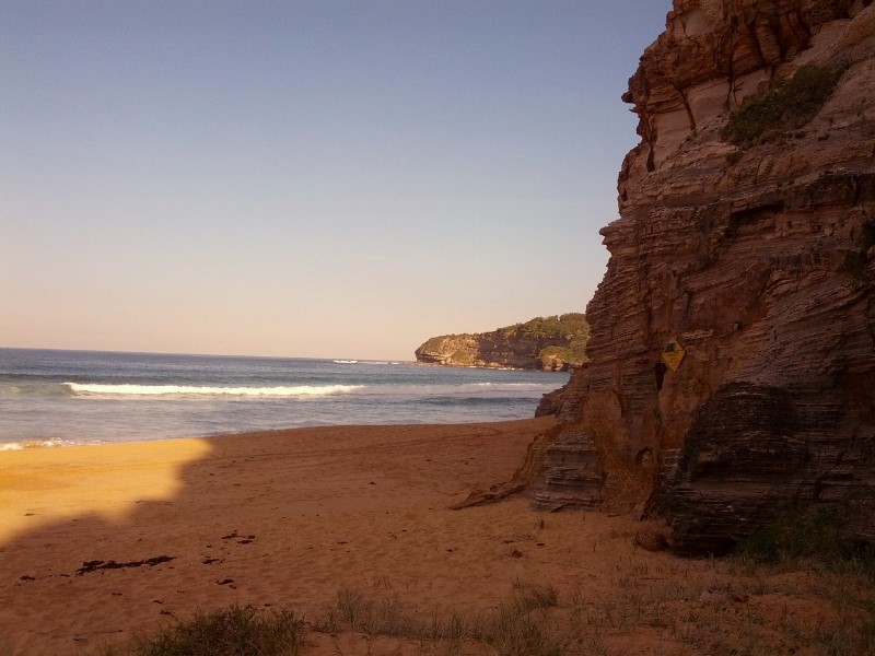 beach and headland